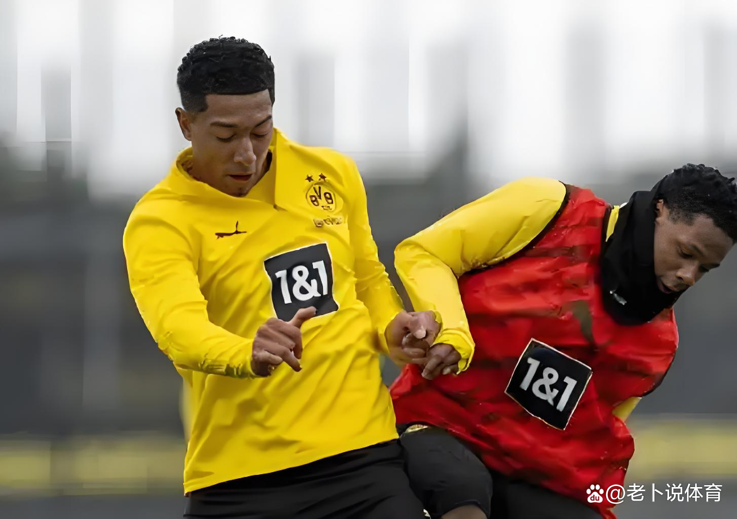 爱游戏网页版登录入口-多特蒙德新援争相融入集训的简单介绍